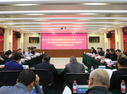 7790必发集团公司党组中心组（扩大）专题学习党的十九届六中全会精神