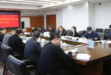 7790必发集团公司党组召开党史学习教育专题民主生活会