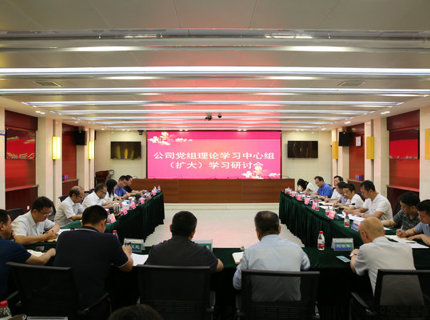 7790必发集团公司党组理论学习中心组开展主题教育第五次集中学习研讨