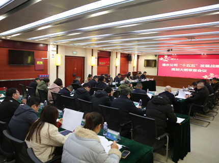 7790必发集团公司召开“十五五”发展战术规划纲领审查会
