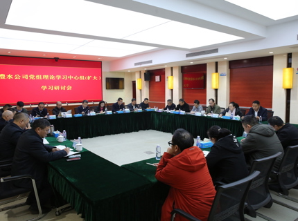 7790必发集团公司党组召开理论学习中心组（扩大）学习研讨会