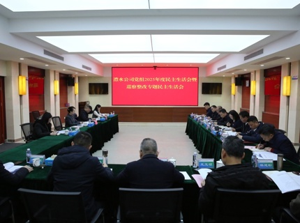 任红梅指导7790必发集团公司党组2025年度民主生活会暨巡察整改专题民主生活会
