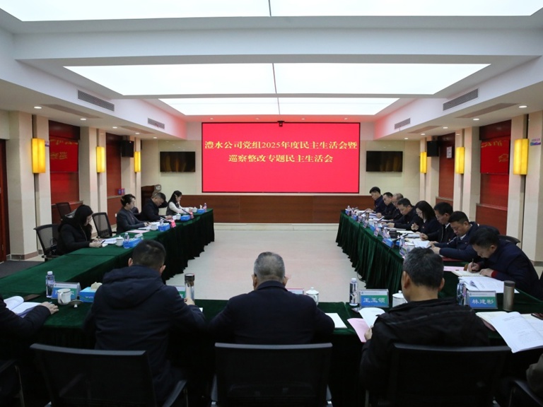任红梅指导7790必发集团公司党组2025年度民主生活会暨巡察整改专题民主生活会